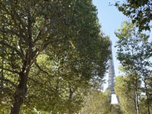 Scenic view of the Champ de Mars and Eiffel Tower in Paris, featuring a lush greenery path in 2024, showcasing the iconic landmark and beautiful park landscape, Paris. Photo by Leah Gillis