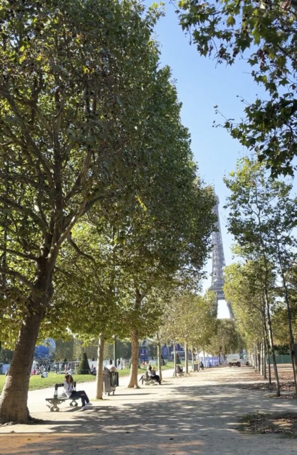 Scenic view of the Champ de Mars and Eiffel Tower in Paris, featuring a lush greenery path in 2024, showcasing the iconic landmark and beautiful park landscape, Paris. Photo by Leah Gillis