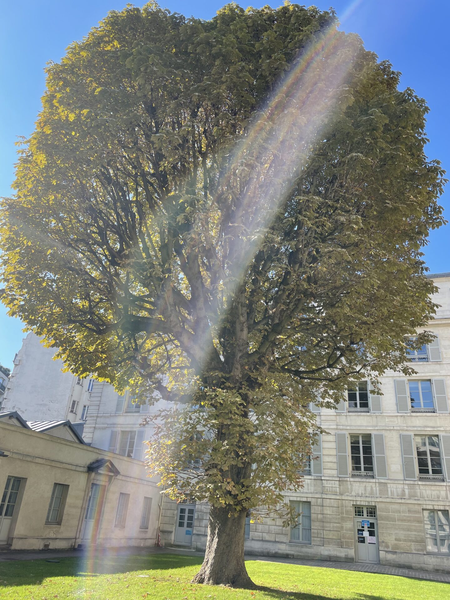 National Institute for Deaf Youth in Paris, a historic site open for exploration during France's Heritage Weekend, showcasing its unique architecture and cultural significance.