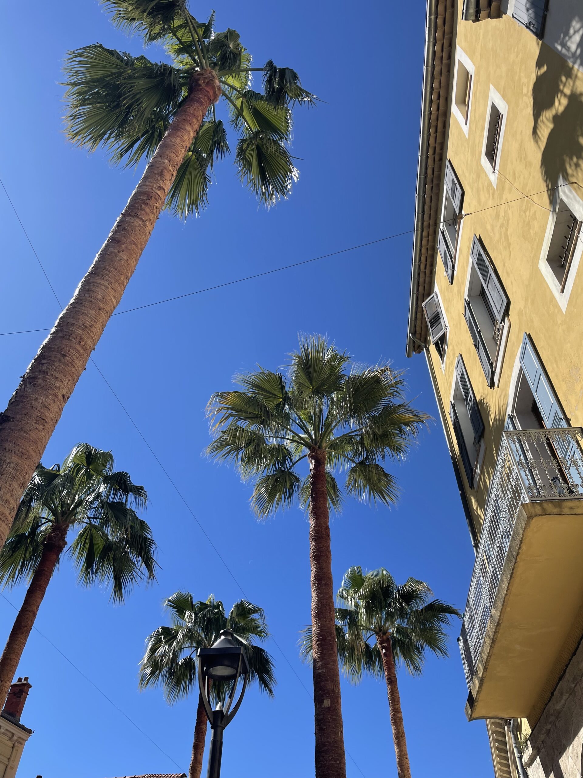 A picturesque view of Grasse, France, featuring a palm tree against a blue sky and stunning architecture, symbolizing the expansive energy and focus required during Jupiter in Gemini. Image by Leah Gillis, 2023.