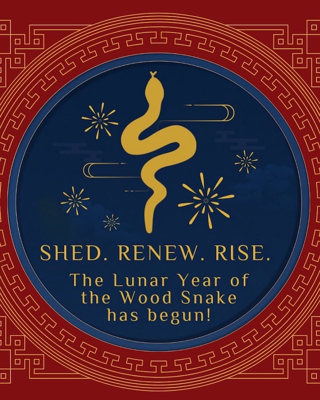 The Lunar year of the Wood Snake just started. Feng Shui to connect to the energies this upcoming year.