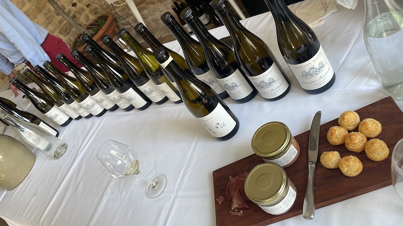 Sipping Pinot like a local at a Burgundy château — where the pours are generous, the vines go way back, and your new best friend might be a winemaker named Jean-Luc. Wine not fall in love with France right here?
