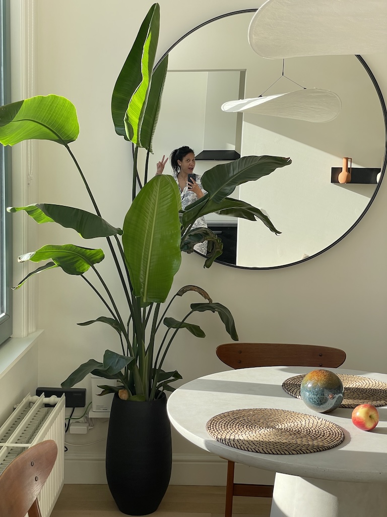 Luxury Antwerp Airbnb interior with natural light, minimalist design, and large windows overlooking a charming Belgian street