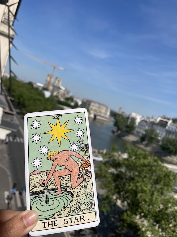 Morning Tarot with Notre Dame, Seine and Ile-St-Louis views.