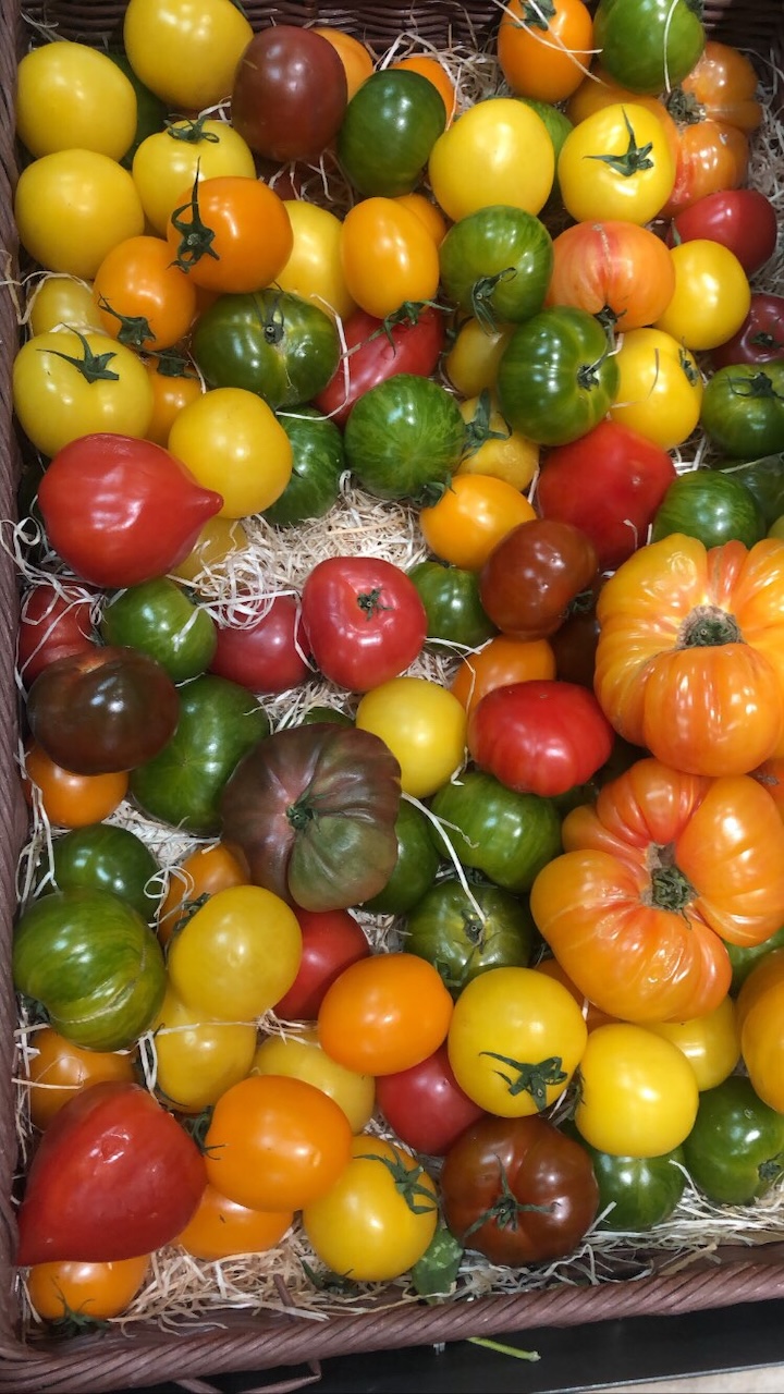 Gorgeous multicolored heirloom tomatoes Paris market — Chiron in Taurus abundance nourishment healing body astrology 2026.