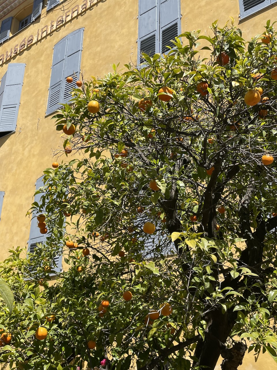 Grasse France perfume museum architecture — Taurus healing beauty sensory abundance Kabbalistic astrology Leah Gillis