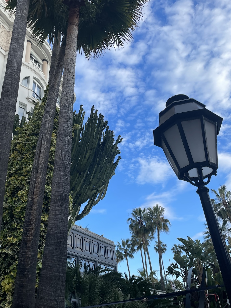 Typical Cannes gorgeousness: palm-lined streets, Mediterranean light, and the sort of French Riviera charm that rewards anyone willing to slow down and wander. Photo by Leah Gillis, The Diamond Is You.