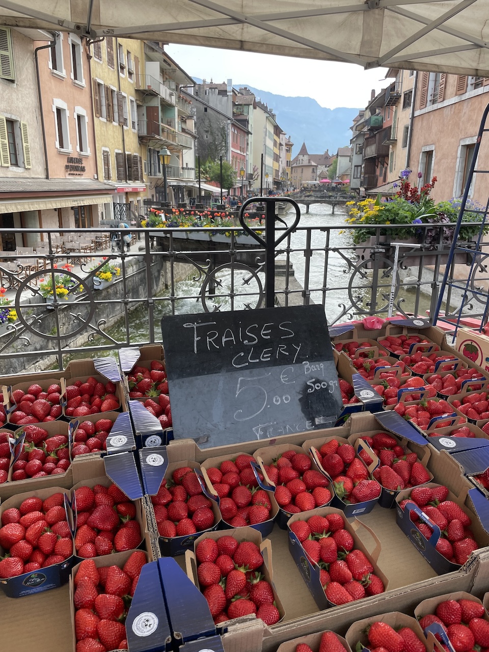 Annecy France gorgeous mountain waterway buildings — Chiron in Taurus stability grounding earth healing astrology 2026