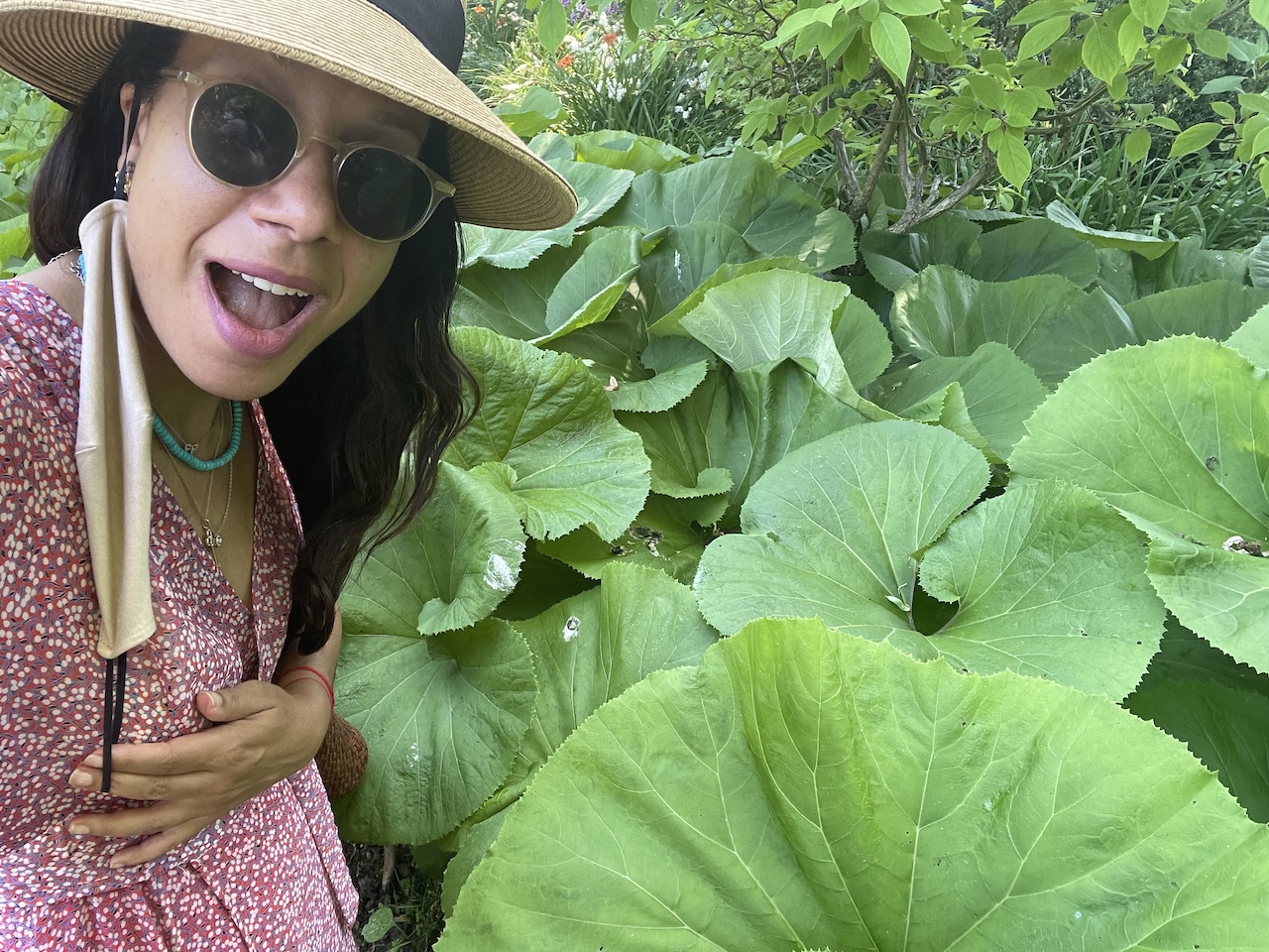 ournalist astrologer Leah Gillis Giverny France 2021 — Chiron in Taurus healing nature worth Kabbalistic astrology.